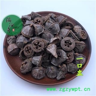 一口钟 桉树果统货 产地 广西壮族自治区 扣子七 胜利果图3