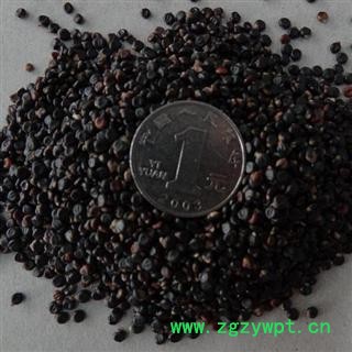 水红花子 统 产地 广西壮族自治区 库存 100公斤可售 买家承担运费图2