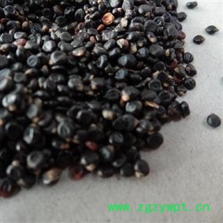 水红花子 统 产地 广西壮族自治区 库存 100公斤可售 买家承担运费图4