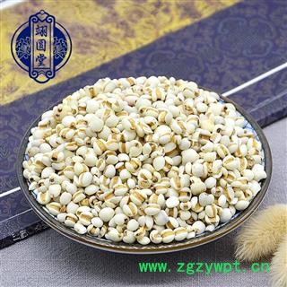 薏苡仁 薏米图2