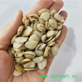 桃仁 本店新到去皮炒桃仁干净无杂质 产地 山东省图4