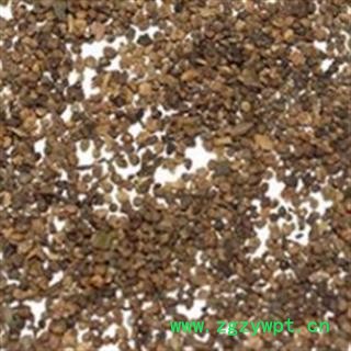 地肤子 山东地肤子统货 产地 山东省图2