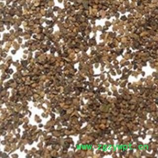 地肤子 山东地肤子统货 产地 山东省图3