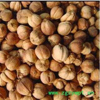 白豆蔻 白豆蔻选货 产地 广西壮族自治区图2