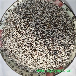 王不留行 河北王不留行选货 产地 河北省图4