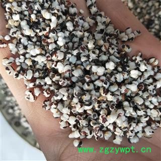 王不留行 河北王不留行选货 产地 河北省图3