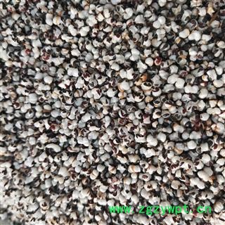 王不留行 河北王不留行选货 产地 河北省图2