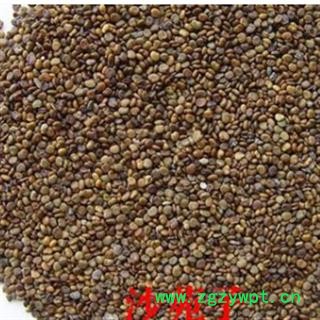 沙苑子 沙苑子新货净货 产地 陕西省图2