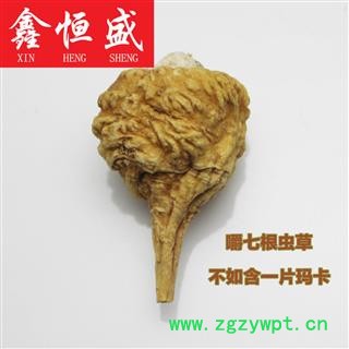 玛咖/黄玛卡（25头/500克）  正宗云南丽江出产  源自丽江雪山的才是好玛咖图4