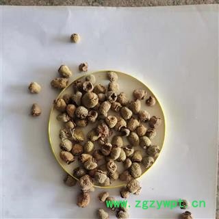 覆盆子 覆盆子统货 产地 浙江省图2