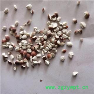 芡实 芡实3.4 瓣 产地 广东省图2