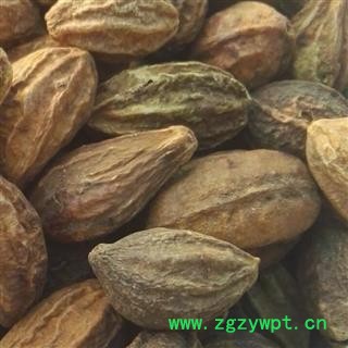 诃子 选装 产地直销 柯子 另有诃子肉 供应各种中药材 冷背货 矿石等 产地 云南省图3