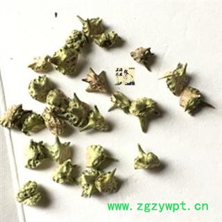 蒺藜 选 白蒺藜 颜色好 新货 供应各种中药材 产地 内蒙古自治区图2