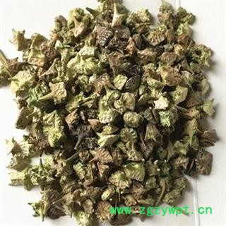 蒺藜 选 白蒺藜 颜色好 新货 供应各种中药材 产地 内蒙古自治区图4