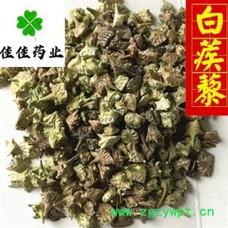 蒺藜 选 白蒺藜 颜色好 新货 供应各种中药材 产地 内蒙古自治区图3