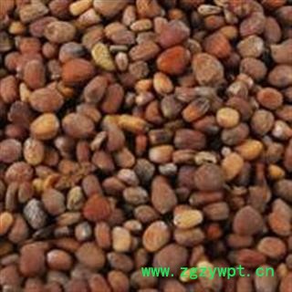 莱菔子 自己炒莱菔子选货 产地 山东省【批发零售各类中药材】炒莱菔子 炒萝卜籽 大货批发图2