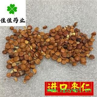 进口生枣仁 酸枣仁98货 产地 海外图3