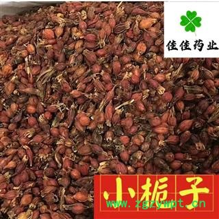 山栀子 江西正品小红栀子小选个 一分价一分货 产地 江西省 【供应各类中药材】小栀子 山栀子 红栀子图3