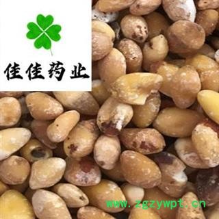 白果 白果仁选货 产地 江苏省 白果仁 新货 无霉变 无虫蛀图4