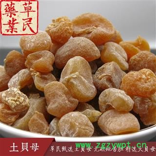 草民甄选土贝母 无硫地苦胆 精选大贝母 干度好 实物如图 专营冷备量大从优图3
