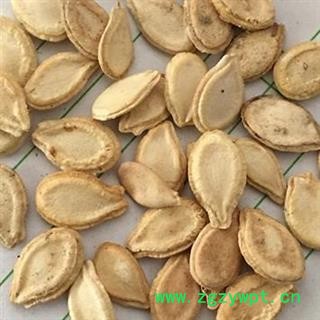 冬瓜子 双边冬瓜子选 产地 安徽省 供应大货【供应各种中药材】冬瓜子 冬瓜籽图2