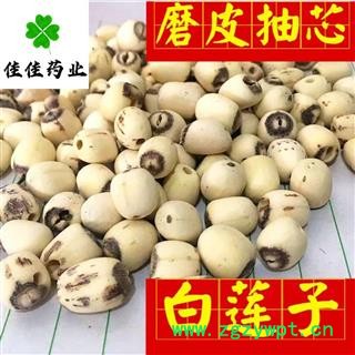 白莲子 湖南湖北空心磨皮选装白莲子98货 产地 湖南省 低价促销 供应各种中药材图3