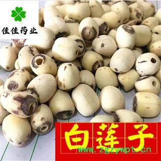白莲子 湖南湖北空心磨皮选装白莲子98货 产地 湖南省 低价促销 供应各种中药材图2