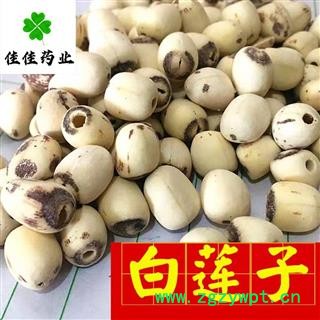 白莲子 湖南湖北空心磨皮选装白莲子98货 产地 湖南省 低价促销 供应各种中药材图4