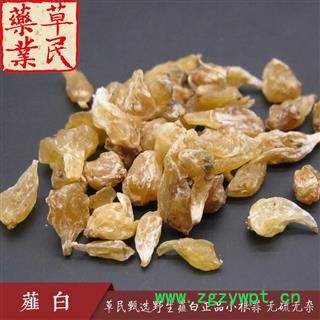 草民甄选野生薤白 正品小根蒜 干度好 颜色靓 无硫无杂 专业批发量大从优图2
