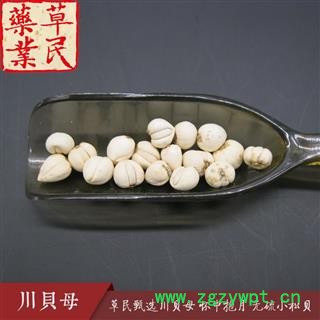 草民甄选川贝母 无硫小松贝 精品珍珠贝 怀中抱月 专业批发量大从优图2