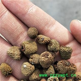 亳州花田错药业一 四川覆盆子  选货 大覆盆子   一手货源图2