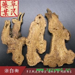 草民甄选浙白术 道地於术 鸡腿白术 大统货 实物如图 专业批发量大从优图3