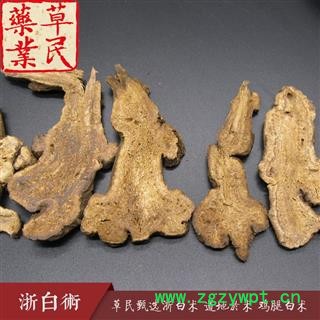 草民甄选浙白术 道地於术 鸡腿白术 大统货 实物如图 专业批发量大从优图4