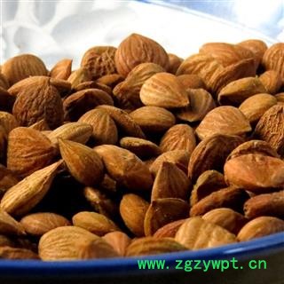 苦杏仁 苦杏仁统货 产地 重庆市县巫山县图2