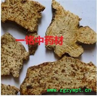 苍术 选货 朱砂点 产地 内蒙古自治区图2