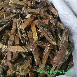 瓜蒌  无硫选丝 产地 河北省保定市图2