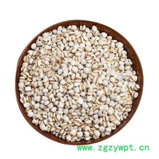 相宏堂经方扶阳道地中药材正宗薏仁贵州野生薏仁特级薏米优质薏仁大颗粒,产地直销,批发价格图4