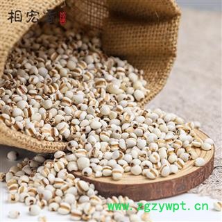 相宏堂经方扶阳道地中药材正宗薏仁贵州野生薏仁特级薏米优质薏仁大颗粒,产地直销,批发价格图3