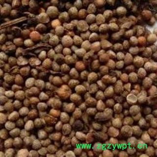 苏子 紫苏子净货 产地 山东省图3