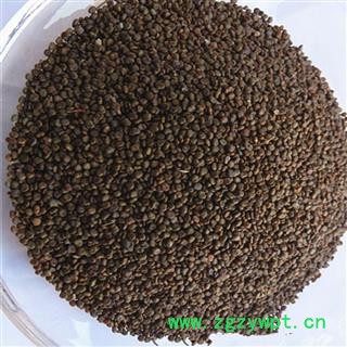 沙苑子 沙苑子净货 国舜药材 国药品质 扬我中华医药 振兴中医事业 本店全场药材七天无理由退换图3