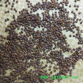 沙苑子 沙苑子净货 国舜药材 国药品质 扬我中华医药 振兴中医事业 本店全场药材七天无理由退换图2