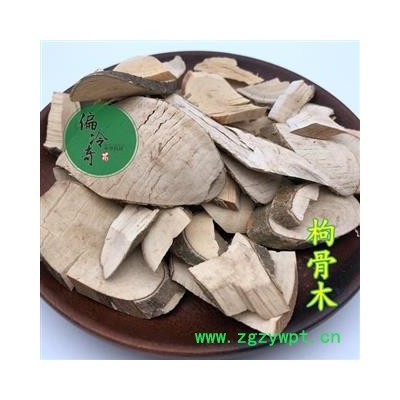 枸骨木 光皮树 花皮树 马光林 统 产地 广西壮族自治区玉林市