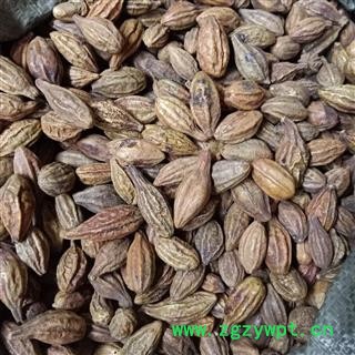 诃子 诃子统个 产地 新疆维吾尔自治区 小影全品类中药材店铺图2