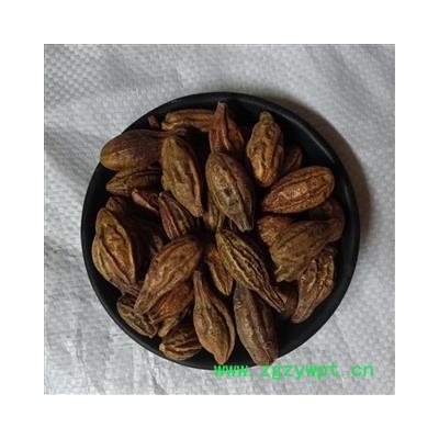 诃子 诃子统个 产地 新疆维吾尔自治区 小影全品类中药材店铺