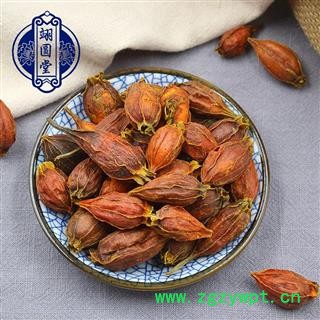 栀子 栀子选个 产地 广西壮族自治区图4