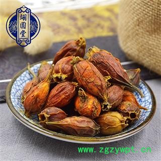 栀子 栀子选个 产地 广西壮族自治区图2