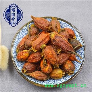 栀子 栀子选个 产地 广西壮族自治区图3