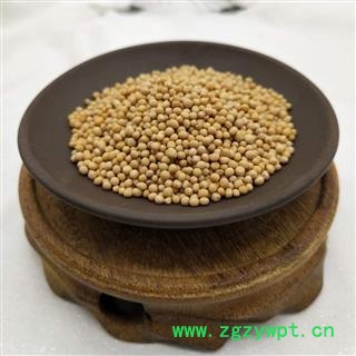 白芥子 统 产地 山东省图2