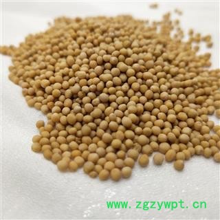 白芥子 统 产地 山东省图4