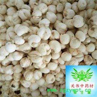 青贝母 平贝母 川贝母 手选0,7 左右 怀中包月 产地 四川省乐山市图2